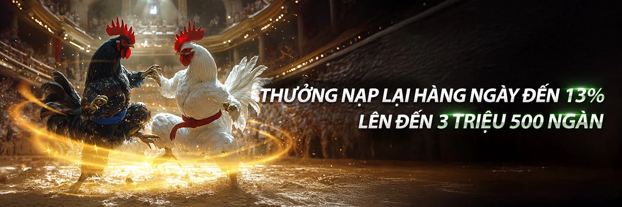 Blog FV88 Trang Chủ Chính Thức 2026